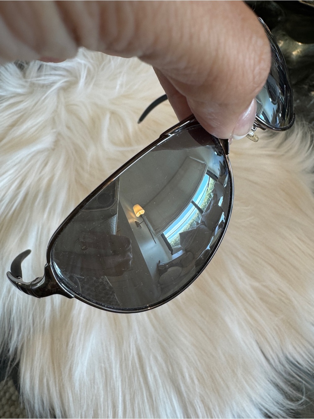 Oakley “Warden” Aviator Sunglasses - Polarized - Picture 7 of 11